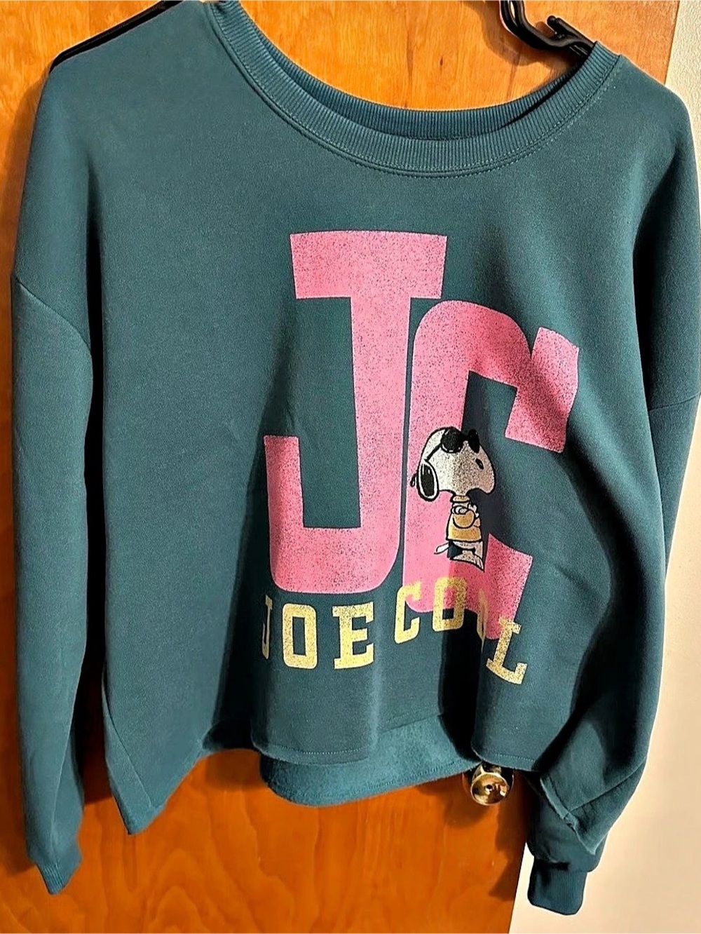 Peanuts Graphic Sweatshirt in Green & Pink Small Like New